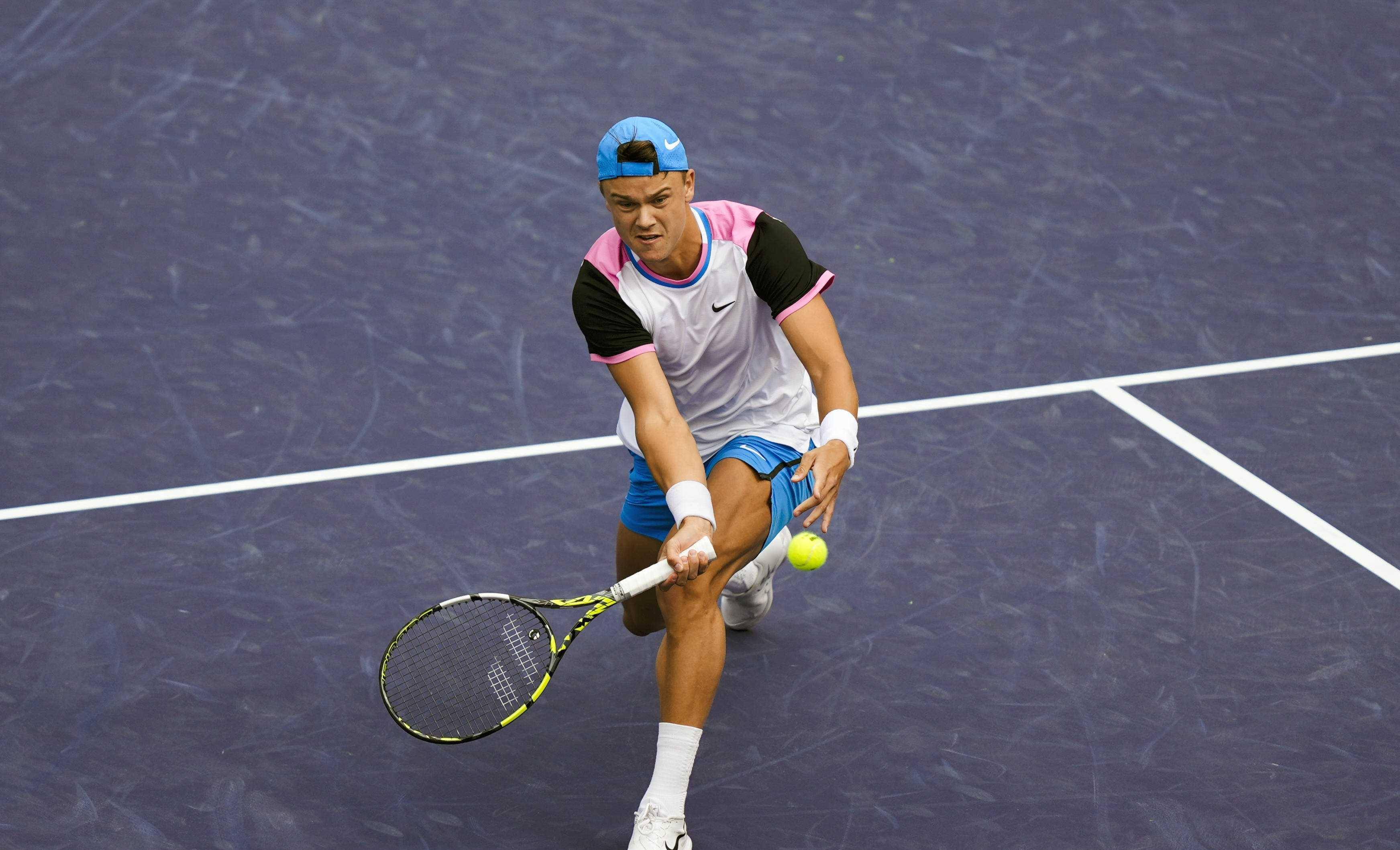 夏季红利 夏季红利